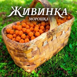 Portada Морошка