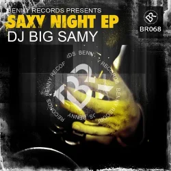 Portada DJ Big Samy - Feel The Music (Original Mix)