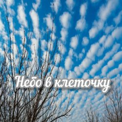 Portada Яна RU - Небо в клеточку