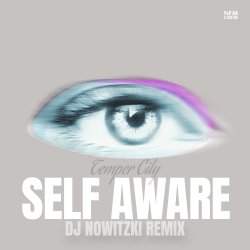 Portada Temper City - Self Aware (DJ Nowitzki Remix)