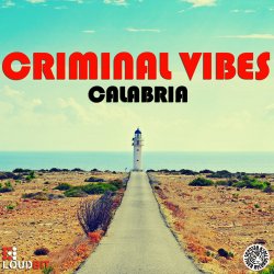Portada Criminal Vibes vs. DJ DNK - Calabria (DJ KIRILLICH Mashup)