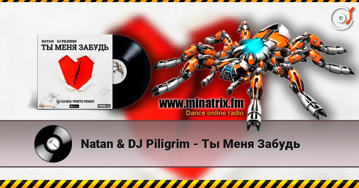 Natan & DJ Piligrim - Ты Меня Забудь escuchar online en alta calidad | Minatrix.FM