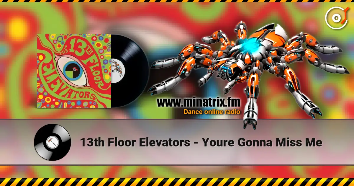 13th Floor Elevators - Youre Gonna Miss Me escuchar online en alta calidad | Minatrix.FM