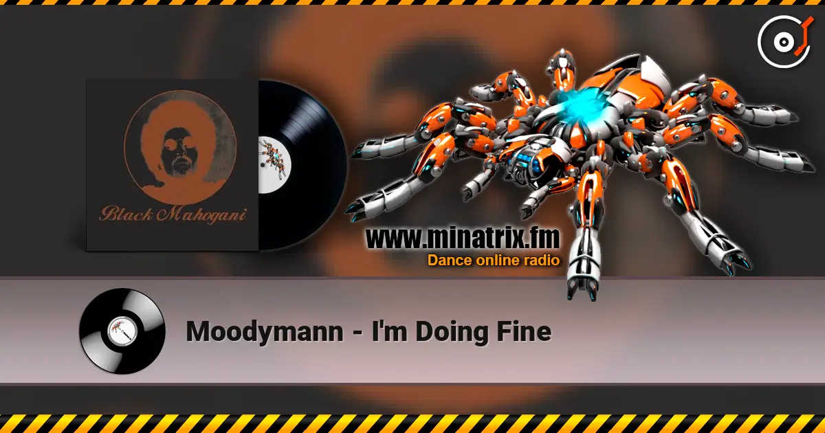 Moodymann - I'm Doing Fine escuchar online en alta calidad | Minatrix.FM