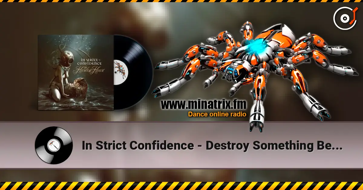 In Strict Confidence - Destroy Something Beautiful escuchar online en alta calidad | Minatrix.FM