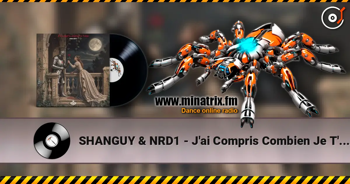 SHANGUY & NRD1 - J'ai Compris Combien Je T'aime escuchar online en alta calidad | Minatrix.FM