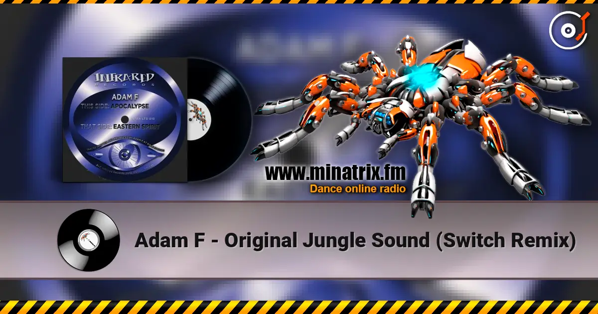 Adam F - Original Jungle Sound (Switch Remix) escuchar online en alta calidad | Minatrix.FM
