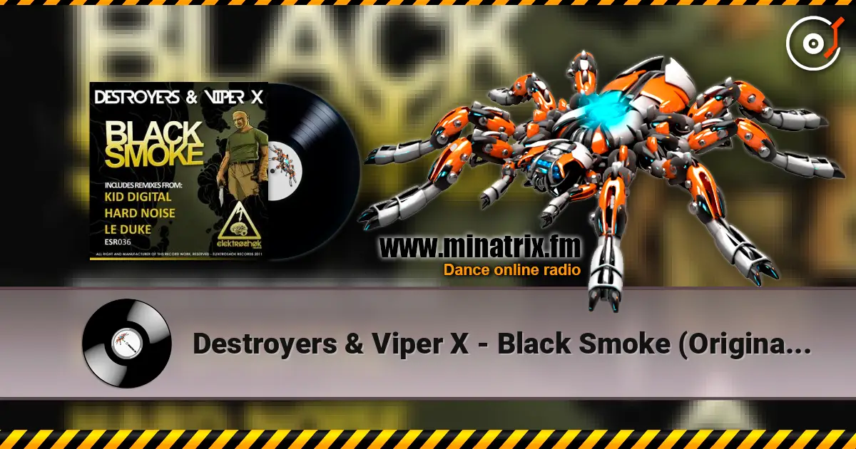 Destroyers & Viper X - Black Smoke (Original Mix) escuchar online en alta calidad | Minatrix.FM