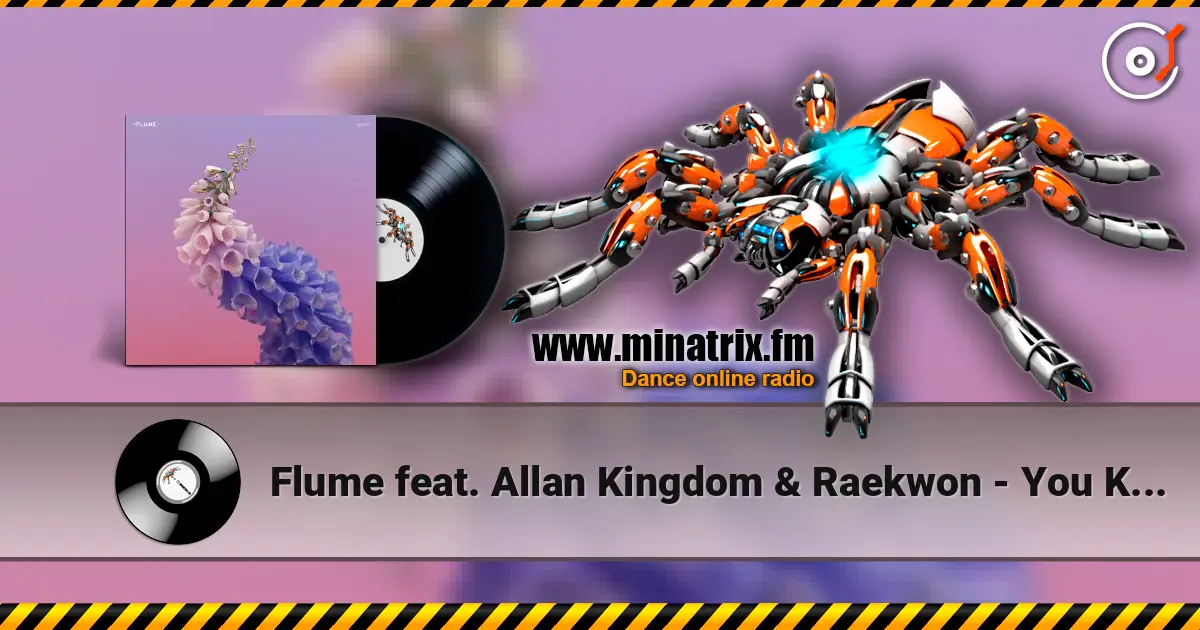 Flume feat. Allan Kingdom & Raekwon - You Know escuchar online en alta calidad | Minatrix.FM