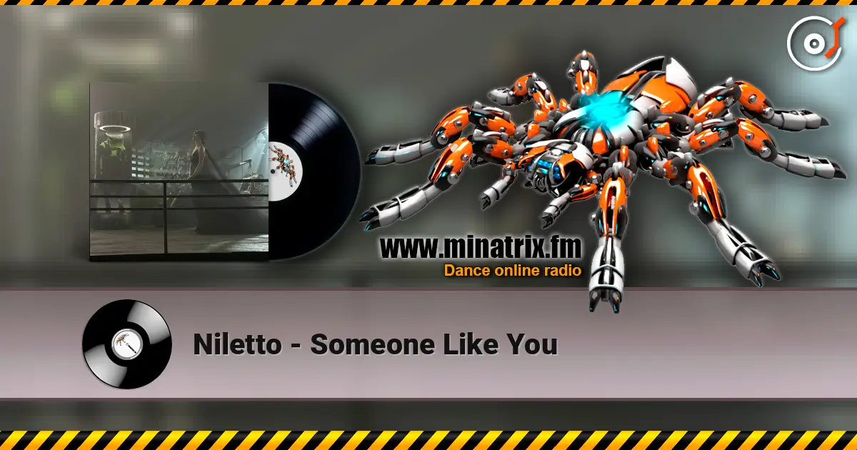 Niletto - Someone Like You escuchar online en alta calidad | Minatrix.FM