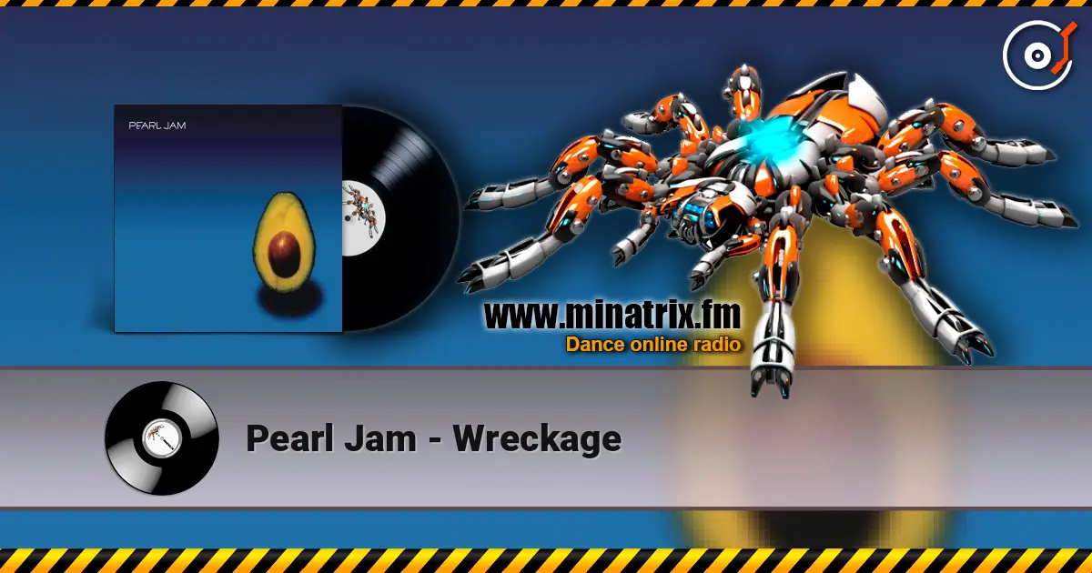 Pearl Jam - Wreckage escuchar online en alta calidad | Minatrix.FM