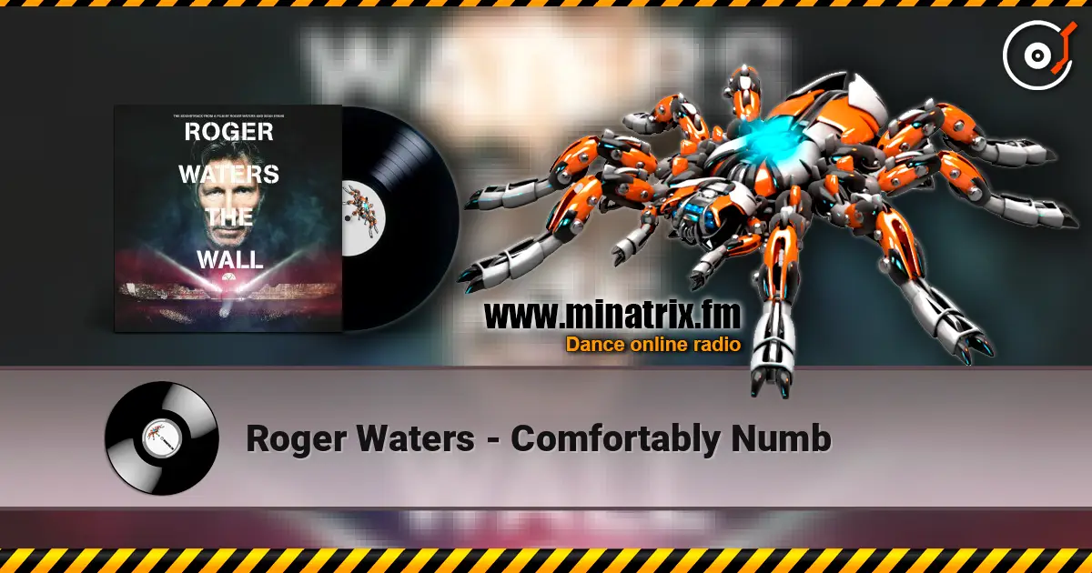 Roger Waters - Comfortably Numb escuchar online en alta calidad | Minatrix.FM