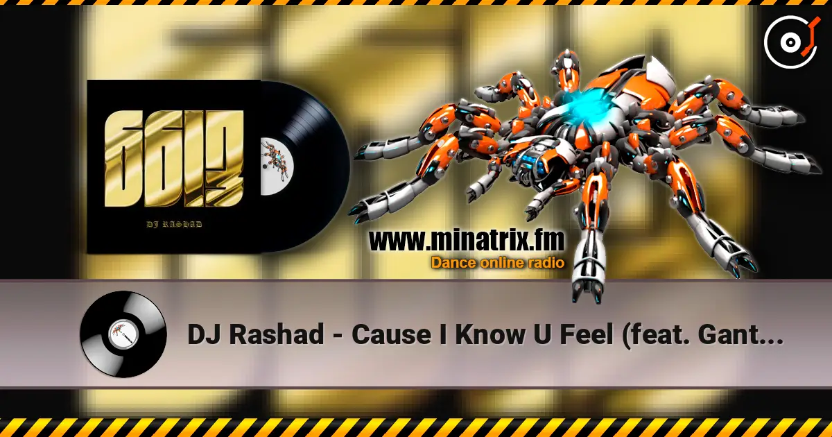 DJ Rashad - Cause I Know U Feel (feat. Gant-Man) escuchar online en alta calidad | Minatrix.FM