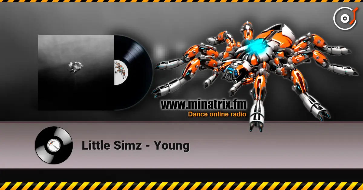 Little Simz - Young escuchar online en alta calidad | Minatrix.FM