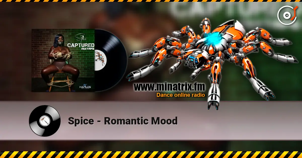 Spice - Romantic Mood escuchar online en alta calidad | Minatrix.FM
