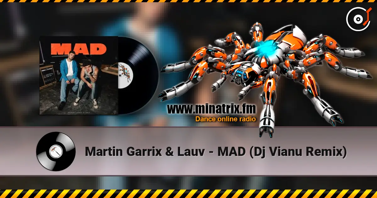 Martin Garrix & Lauv - MAD (Dj Vianu Remix) escuchar online en alta calidad | Minatrix.FM