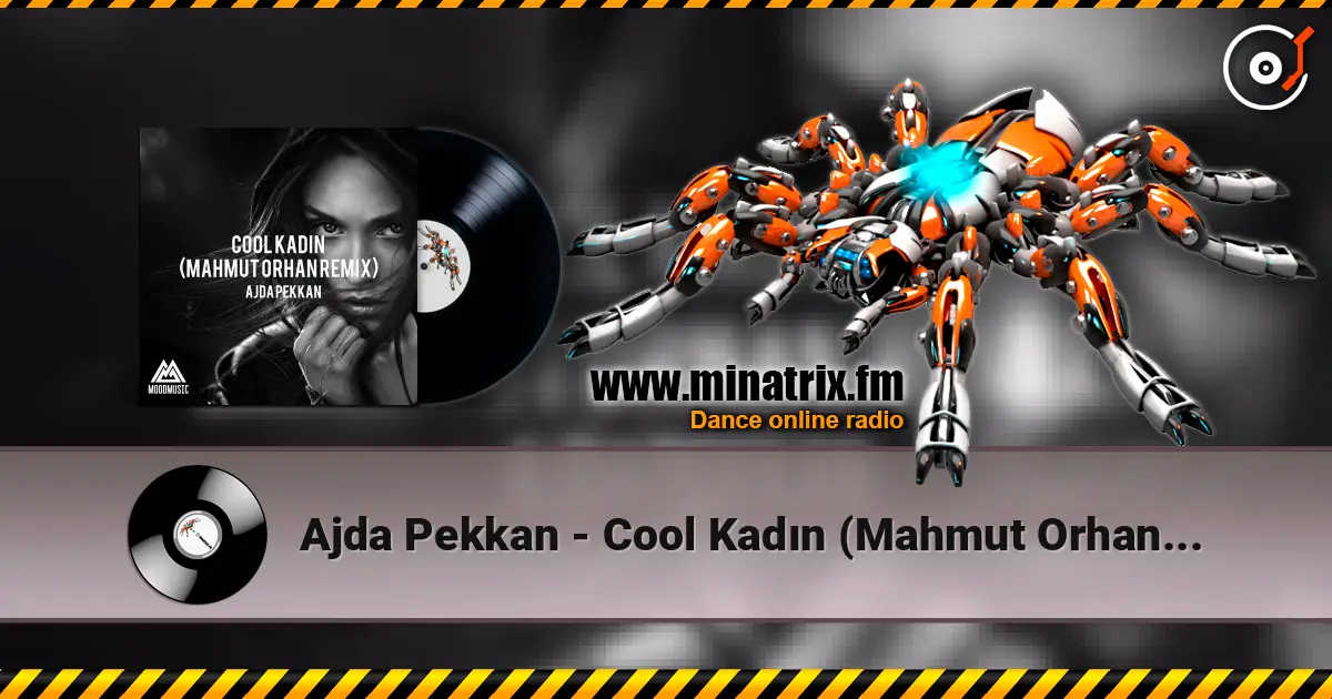 Ajda Pekkan - Cool Kadın (Mahmut Orhan Remix) escuchar online en alta calidad | Minatrix.FM