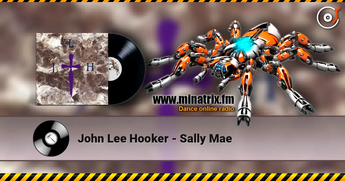 John Lee Hooker - Sally Mae escuchar online en alta calidad | Minatrix.FM