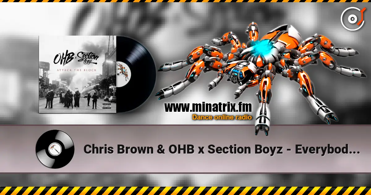 Chris Brown & OHB x Section Boyz - Everybody (feat. Chris Brown & Young Lo) escuchar online en alta calidad | Minatrix.FM
