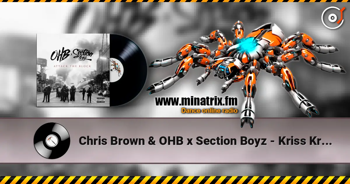 Chris Brown & OHB x Section Boyz - Kriss Kross (feat. Chris Brown, TJ Luva Boy & Young Blacc) escuchar online en alta calidad | Minatrix.FM