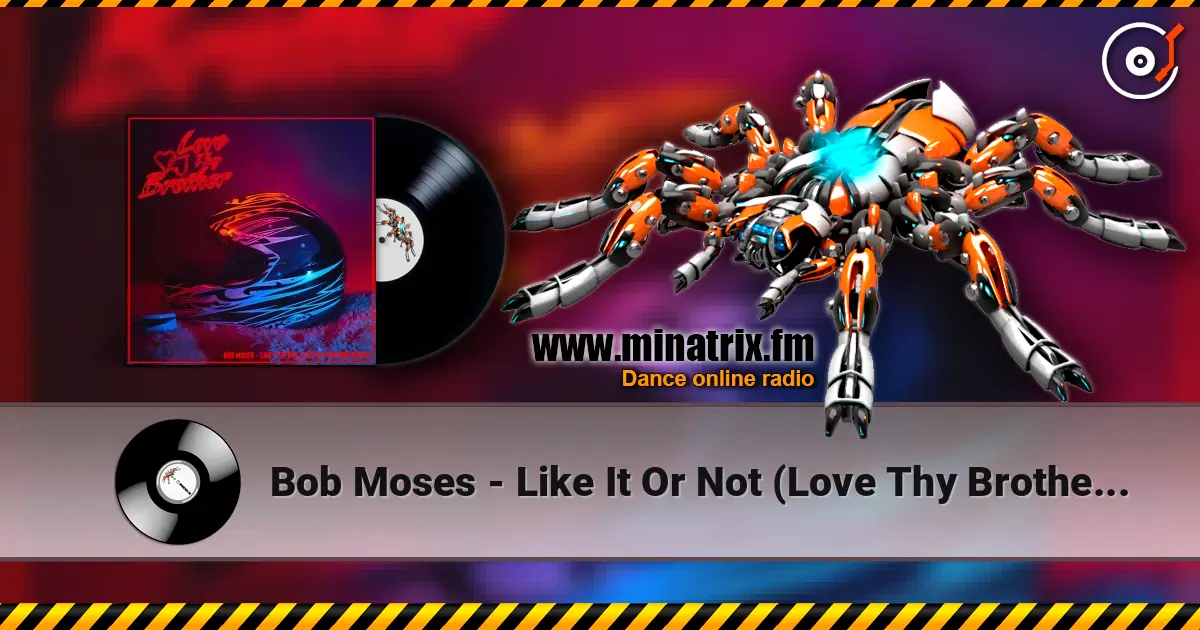 Bob Moses - Like It Or Not (Love Thy Brother Remix) escuchar online en alta calidad | Minatrix.FM