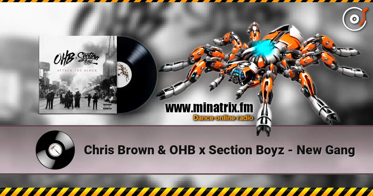 Chris Brown & OHB x Section Boyz - New Gang escuchar online en alta calidad | Minatrix.FM