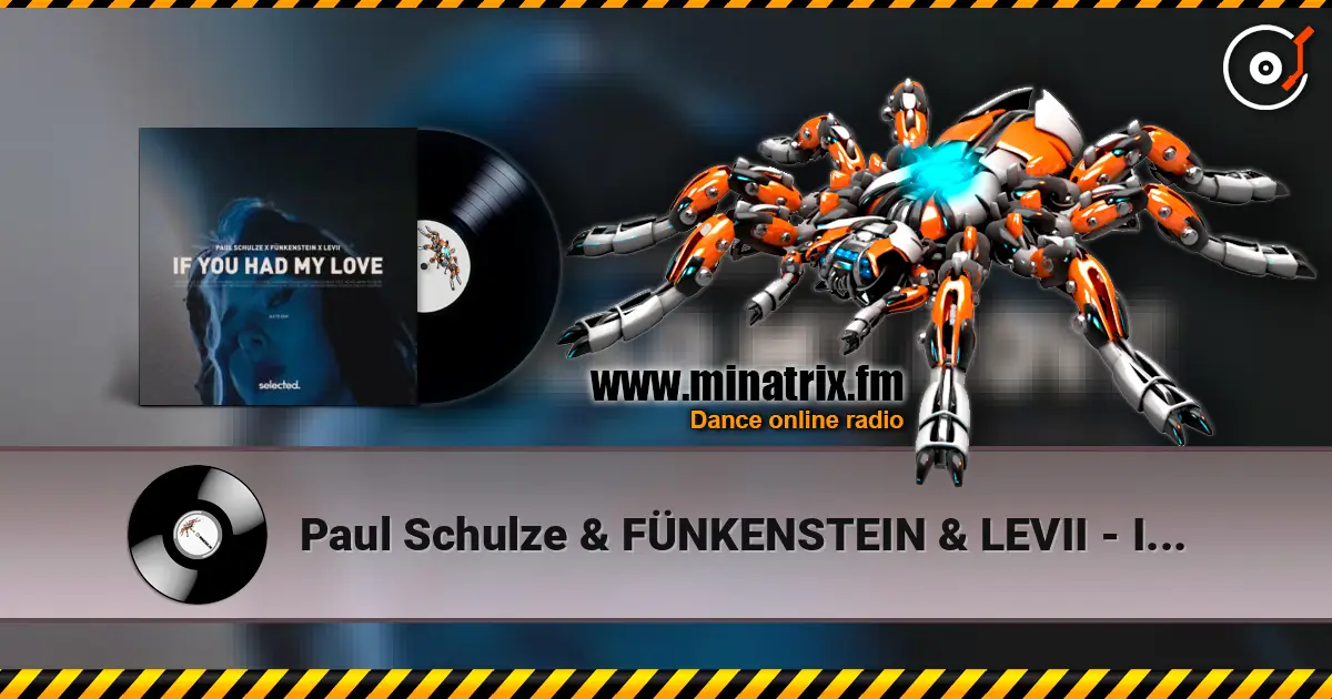 Paul Schulze & FÜNKENSTEIN & LEVII - If You Had My Love escuchar online en alta calidad | Minatrix.FM