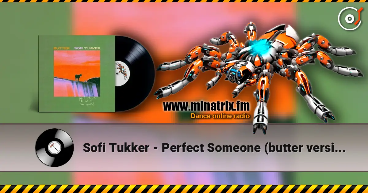 Sofi Tukker - Perfect Someone (butter version) escuchar online en alta calidad | Minatrix.FM
