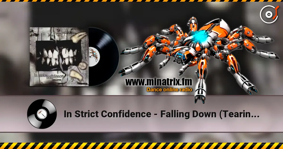 In Strict Confidence - Falling Down (Tearing Thorns Version) escuchar online en alta calidad | Minatrix.FM