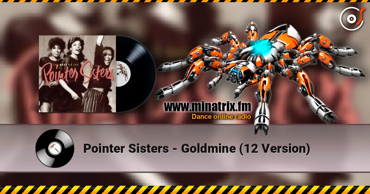 Pointer Sisters - Goldmine  (12 Version) escuchar online en alta calidad | Minatrix.FM