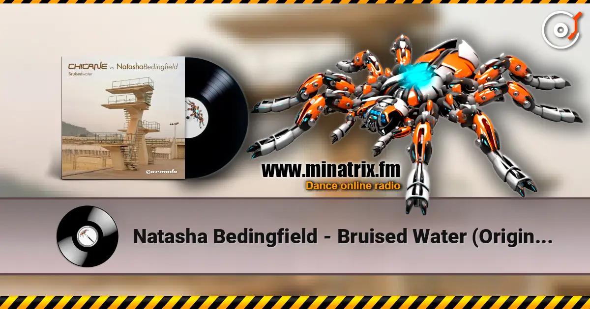 Natasha Bedingfield - Bruised Water (Original Mix) escuchar online en alta calidad | Minatrix.FM