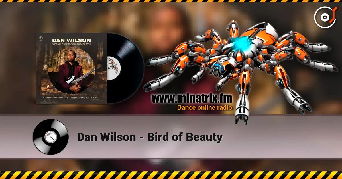 Dan Wilson - Bird of Beauty escuchar online en alta calidad | Minatrix.FM