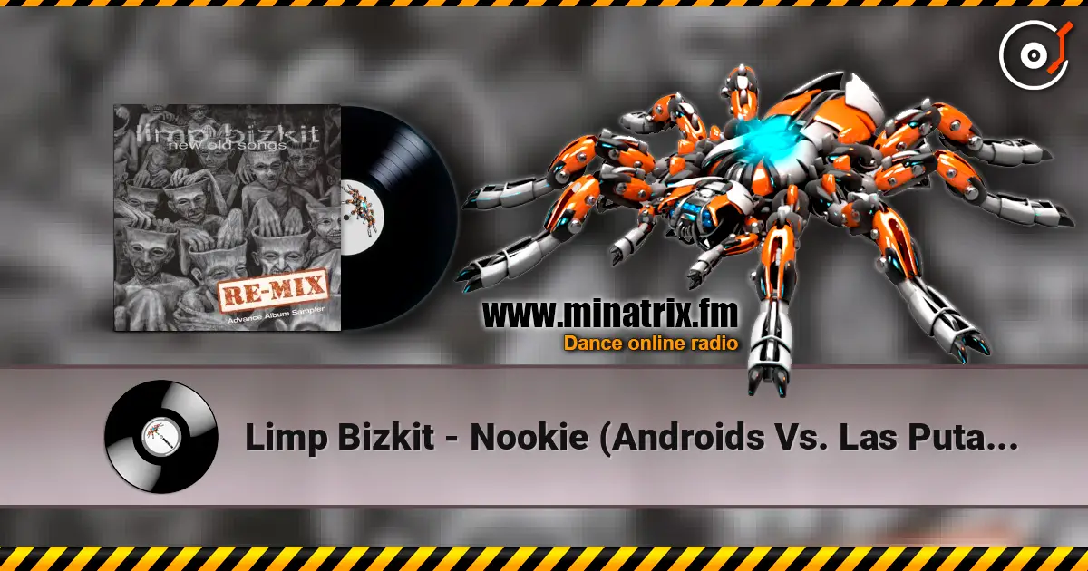 Limp Bizkit - Nookie (Androids Vs. Las Putas Remix) escuchar online en alta calidad | Minatrix.FM