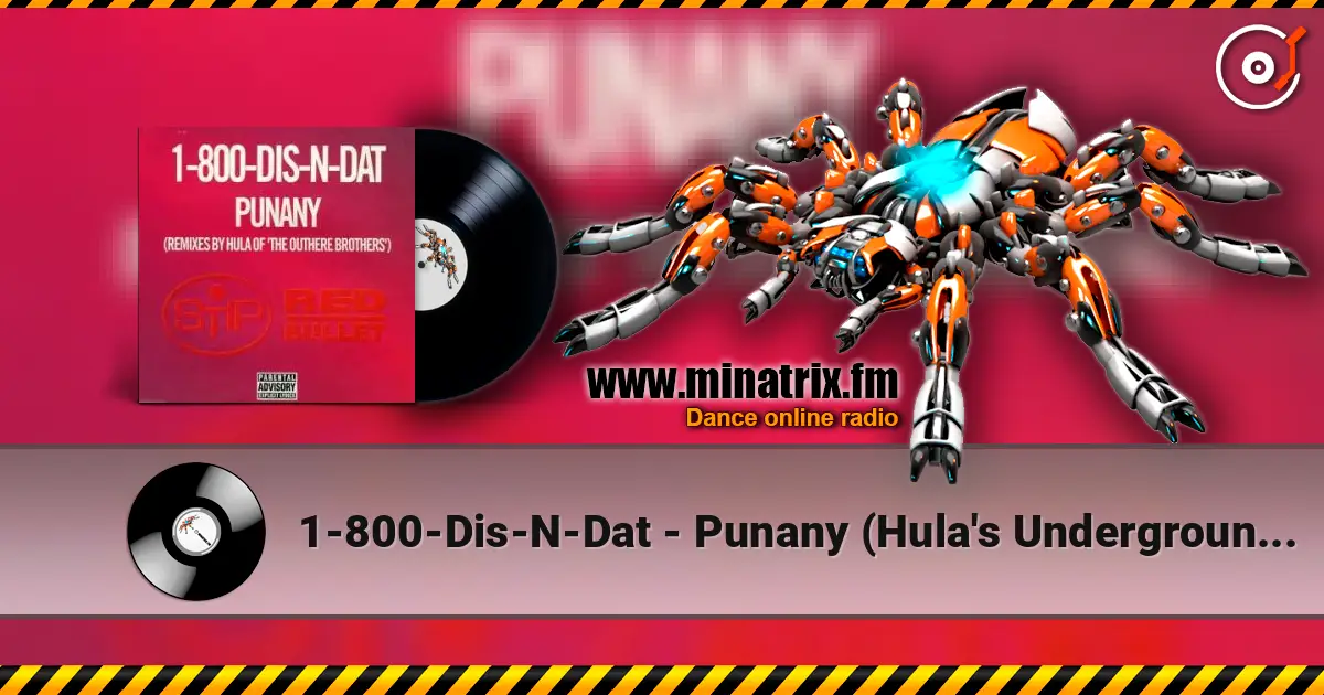 1-800-Dis-N-Dat - Punany (Hula's Underground Long) escuchar online en alta calidad | Minatrix.FM