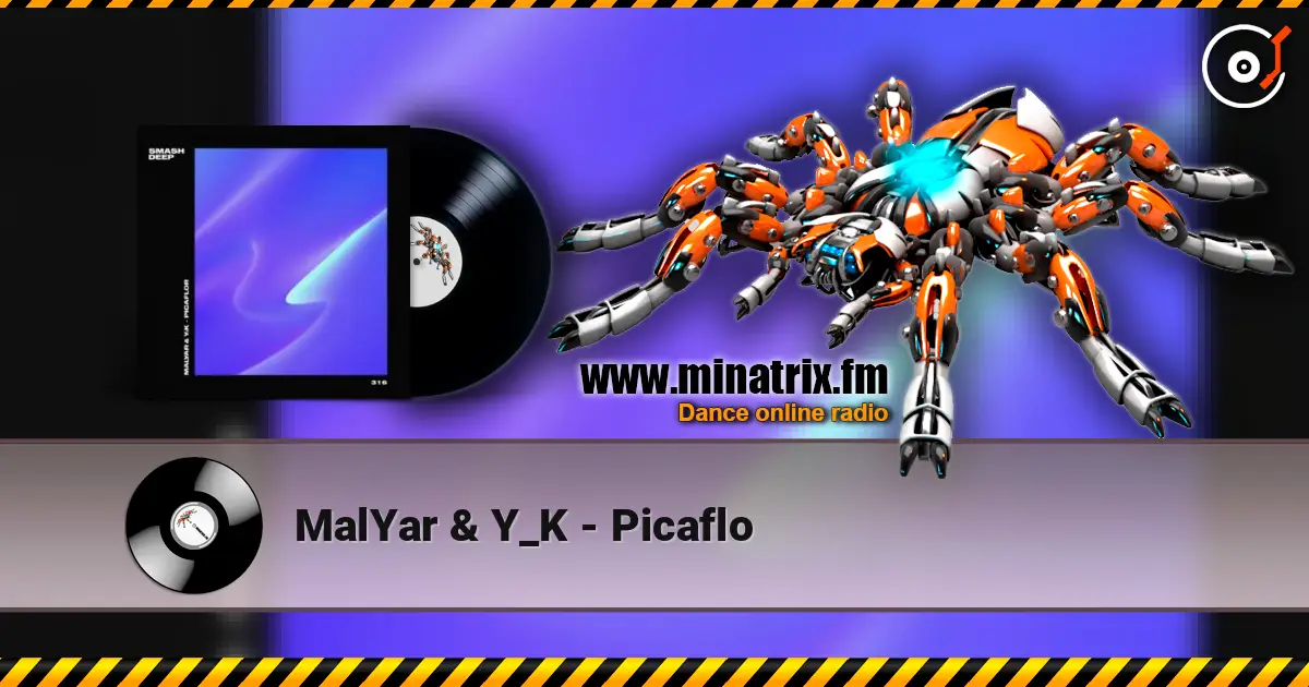 MalYar & Y_K - Picaflo escuchar online en alta calidad | Minatrix.FM
