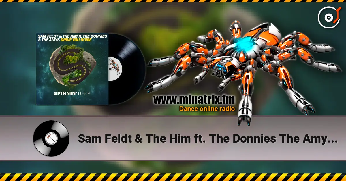 Sam Feldt & The Him ft. The Donnies The Amys - Drive You Home (Original Mix) escuchar online en alta calidad | Minatrix.FM