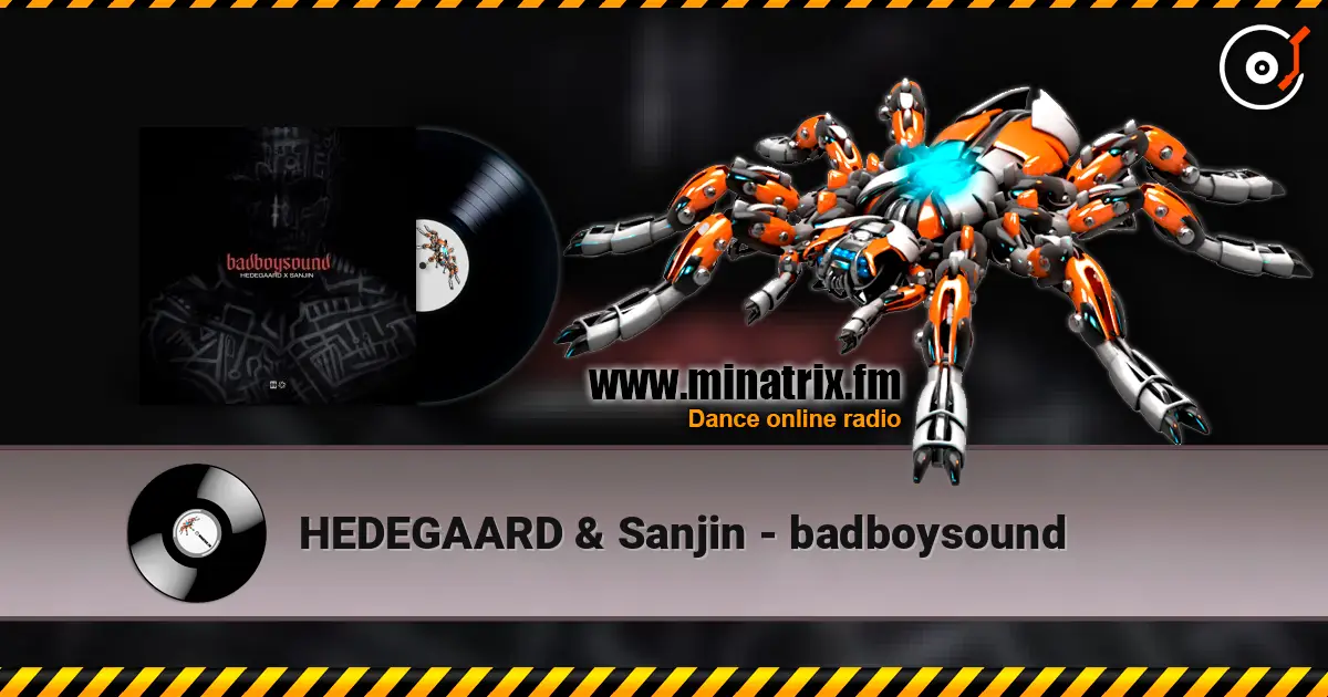 HEDEGAARD & Sanjin - badboysound escuchar online en alta calidad | Minatrix.FM