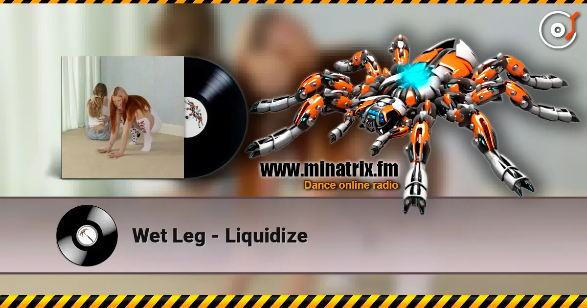 Wet Leg - Liquidize escuchar online en alta calidad | Minatrix.FM