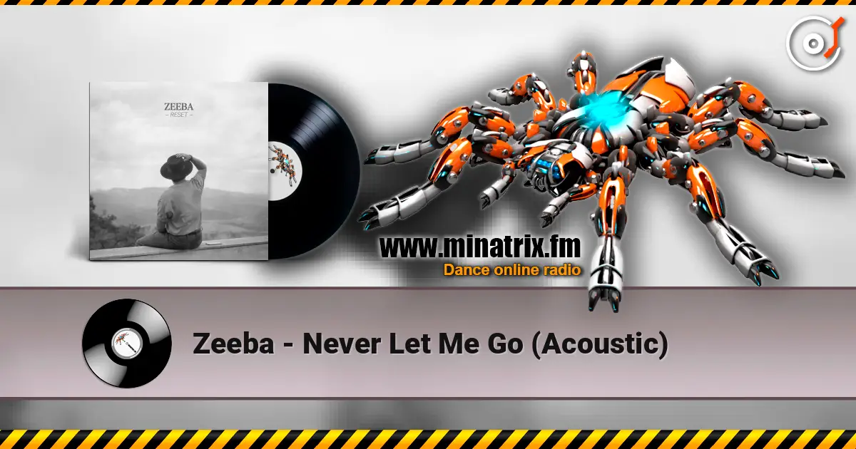 Zeeba - Never Let Me Go (Acoustic) escuchar online en alta calidad | Minatrix.FM