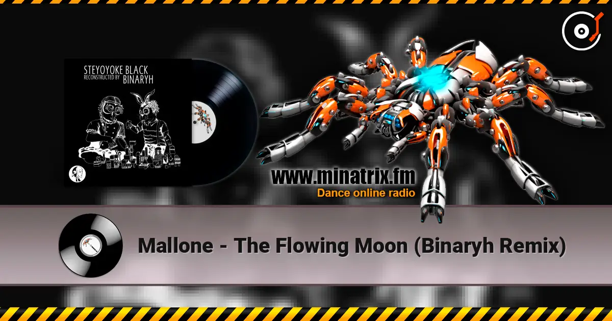 Mallone - The Flowing Moon (Binaryh Remix) escuchar online en alta calidad | Minatrix.FM