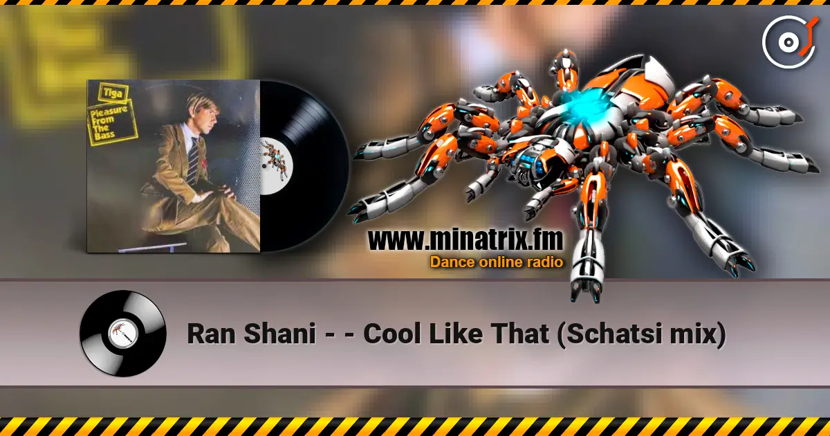 Ran Shani - - Cool Like That (Schatsi mix) escuchar online en alta calidad | Minatrix.FM