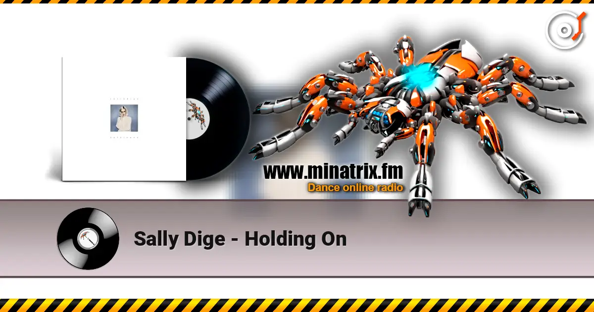 Sally Dige - Holding On escuchar online en alta calidad | Minatrix.FM