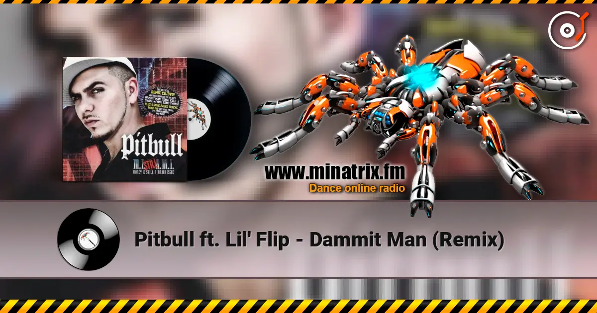 Pitbull ft. Lil' Flip - Dammit Man (Remix) escuchar online en alta calidad | Minatrix.FM