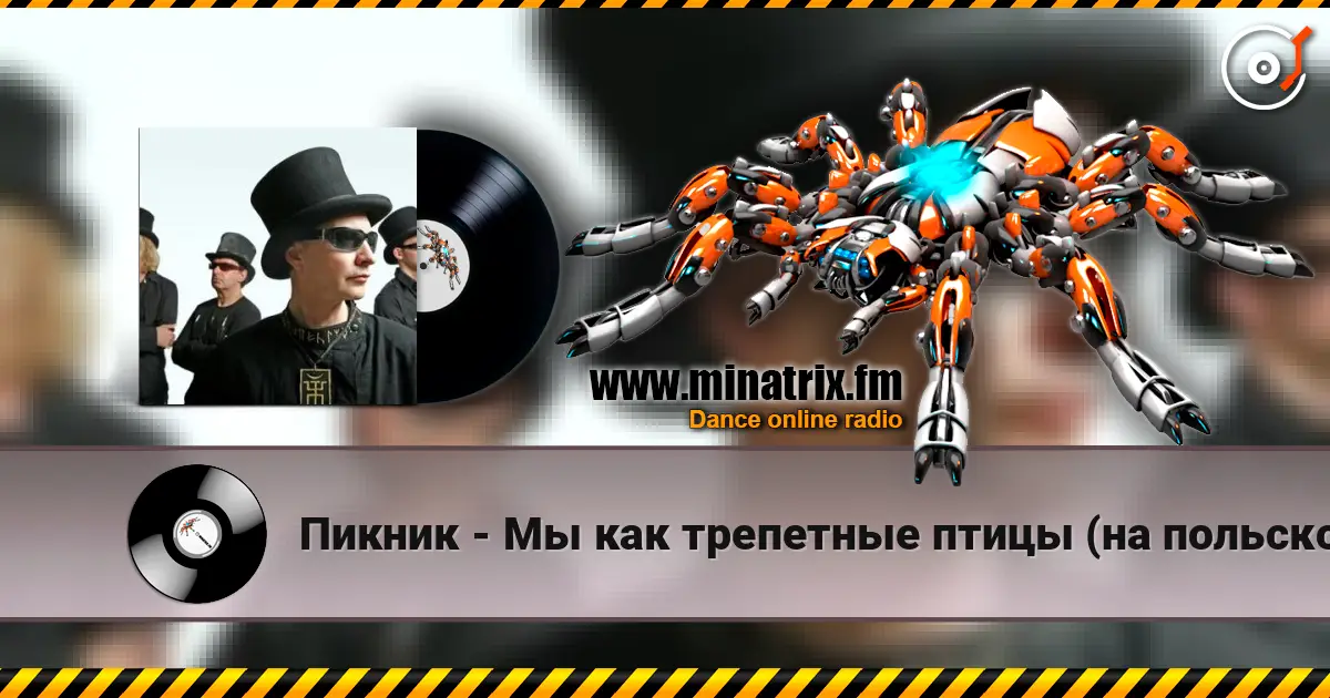 Пикник - Мы как трепетные птицы (на польском языке) escuchar online en alta calidad | Minatrix.FM
