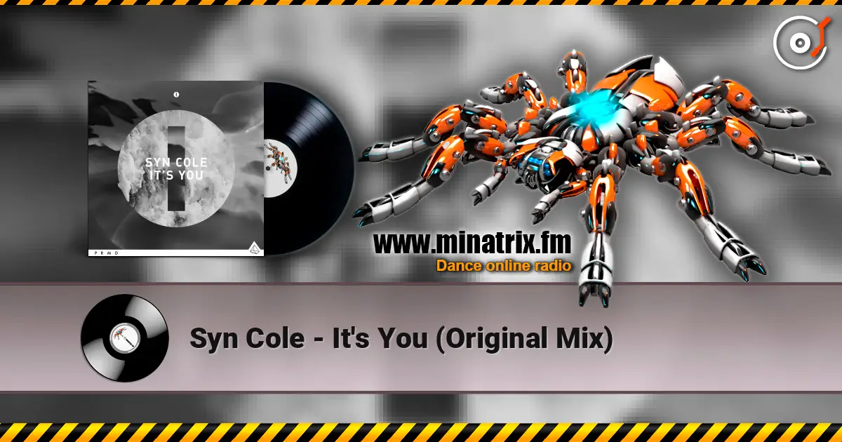 Syn Cole - It's You (Original Mix) escuchar online en alta calidad | Minatrix.FM