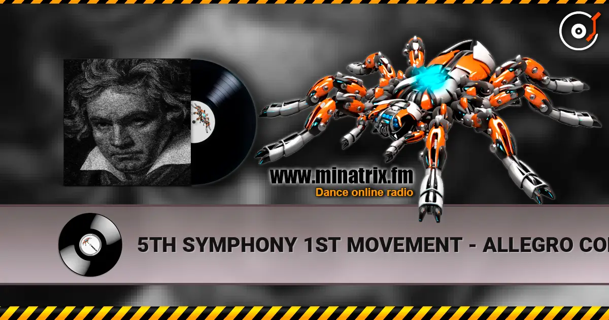 5TH SYMPHONY 1ST MOVEMENT - ALLEGRO CON BRIO escuchar online en alta calidad | Minatrix.FM