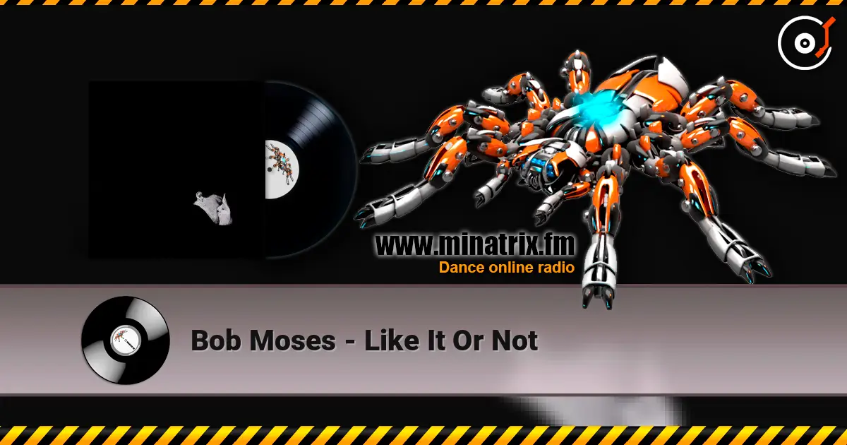 Bob Moses - Like It Or Not escuchar online en alta calidad | Minatrix.FM
