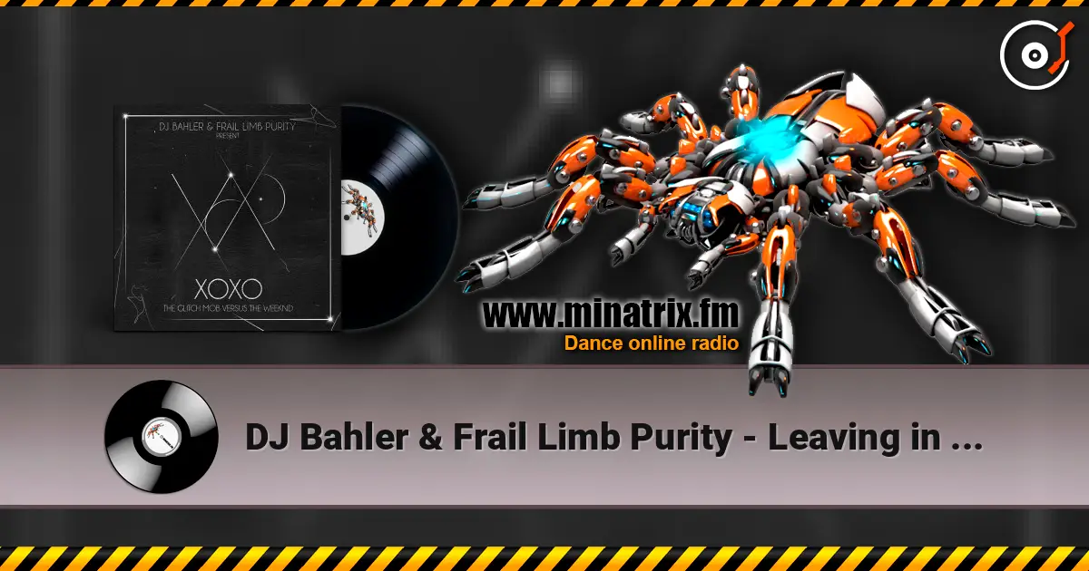 DJ Bahler & Frail Limb Purity - Leaving in the Mourning escuchar online en alta calidad | Minatrix.FM