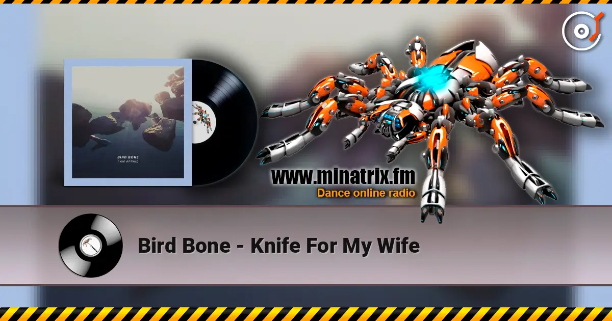 Bird Bone - Knife For My Wife escuchar online en alta calidad | Minatrix.FM