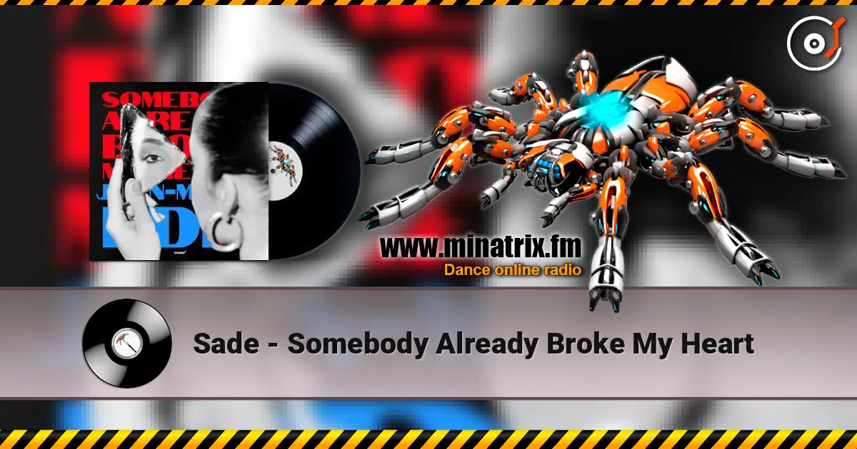 Sade - Somebody Already Broke My Heart escuchar online en alta calidad | Minatrix.FM